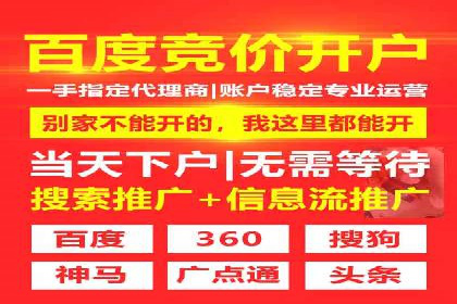 SEM服务助力电商行业案例解读